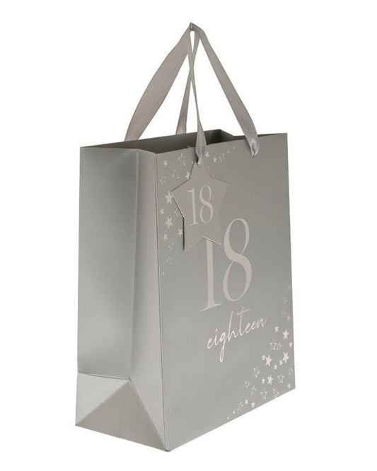 18th Birthday Medium Gift Bag - 26cm x 22cm