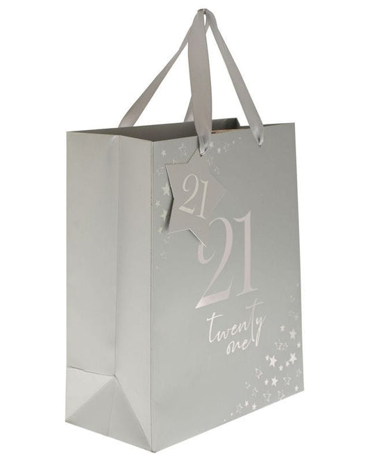 21st Birthday Medium Gift Bag - 26cm x 22cm
