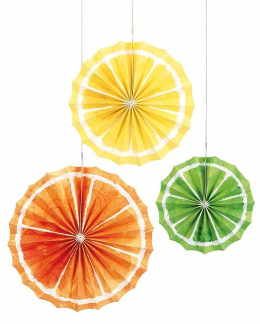 Citrus Fruit Tissue Paper Fans (3pk)