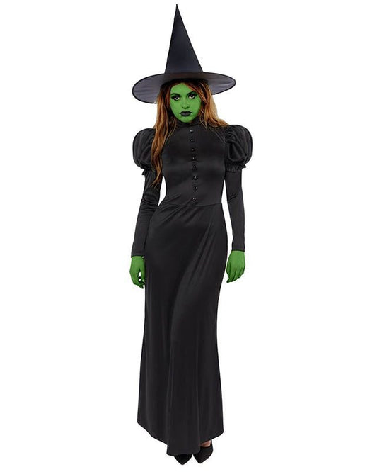 Wicked Witch - Womens Costume