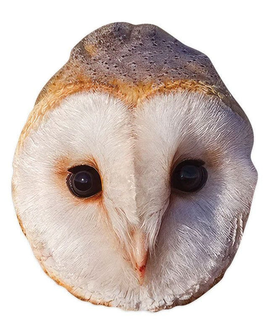 Owl Cardboard Mask