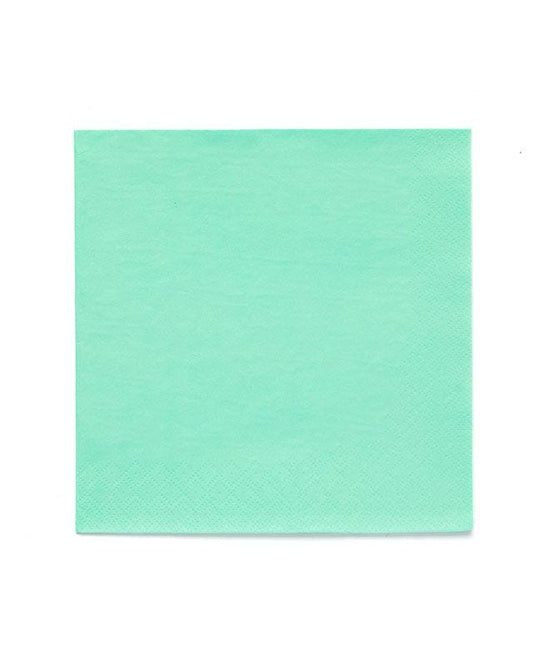 Mint Green Paper Napkins 3ply - 33cm (20pk)