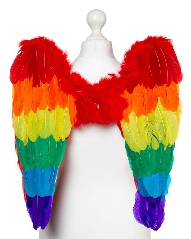 Rainbow Angel Wings - 50cm x 50cm
