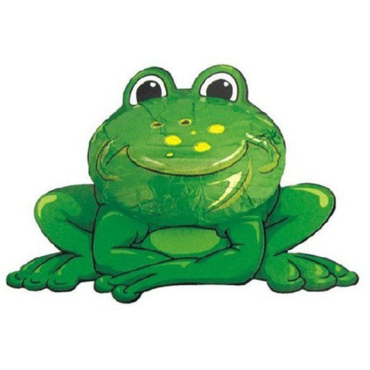 Frog Chocolate - 12.5g