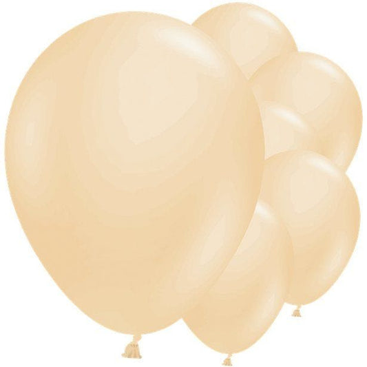 Blush Balloons - 11" Latex (12pk)