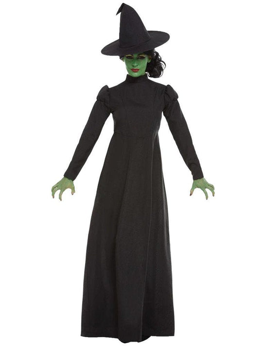 Wicked Witch - Adult Costume