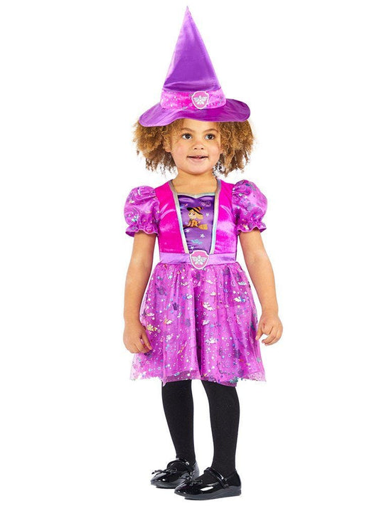 Paw Patrol Skye Witch - Toddler and Child Costume