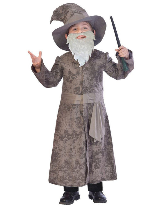 Wise Wizard - Child Costume