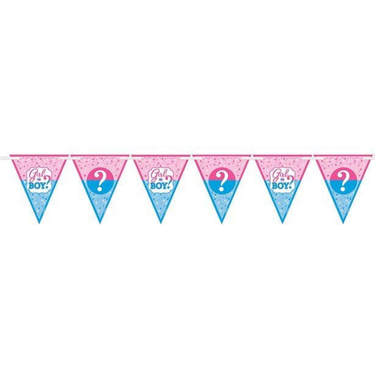 Gender Reveal Paper Flag Banner - 4.5m