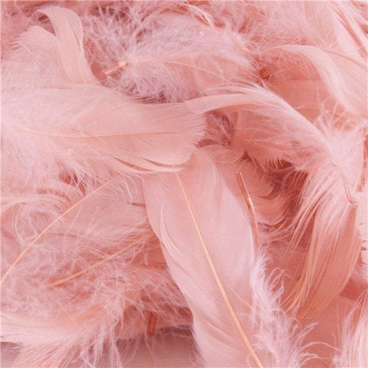 Rose Gold Decorative Feathers (50g pack)