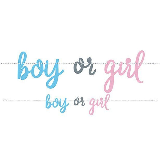 Gender Reveal Boy or Girl Paper Banner - 2.13m