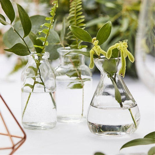 Botanical Wedding Glass Bottle Table Decoration Set (3pk)