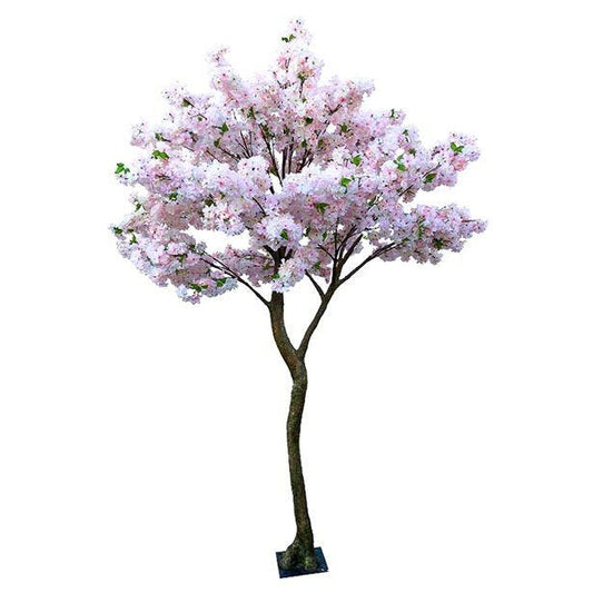 Pink Blossom Tree - 2.7m