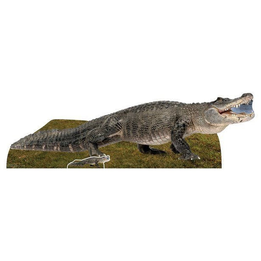 Alligator Cardboard Cutout - 193cm x 58cm