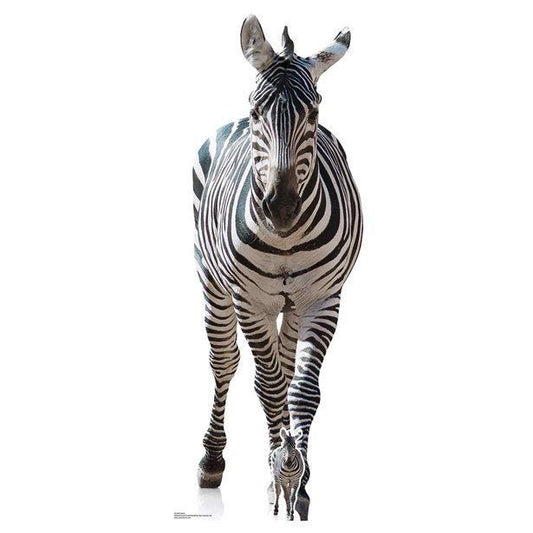 Zebra Cardboard Cutout - 162cm x 62cm