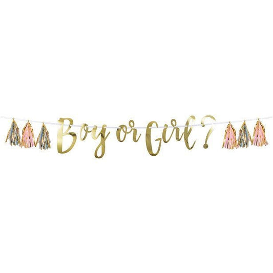 Boy Or Girl Banner with Tassels - 1.5m