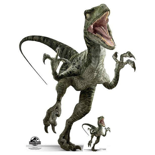 Jurassic World Raptor Dinosaur (Charlie) Cardboard Cutout - 129cm x 102cm
