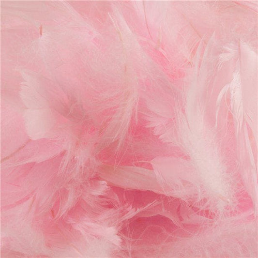Baby Pink Decorative Feathers (50g pack)
