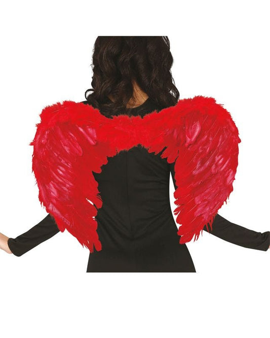 Red Angel Wings - 50 x 40cm